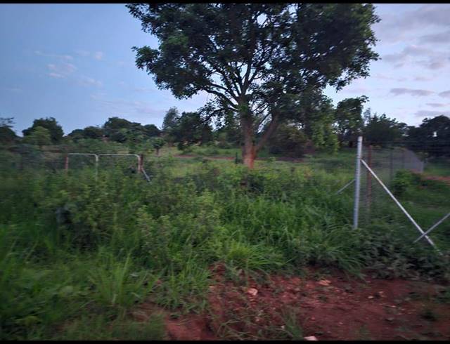 LAND FOR SALE IN ELIM